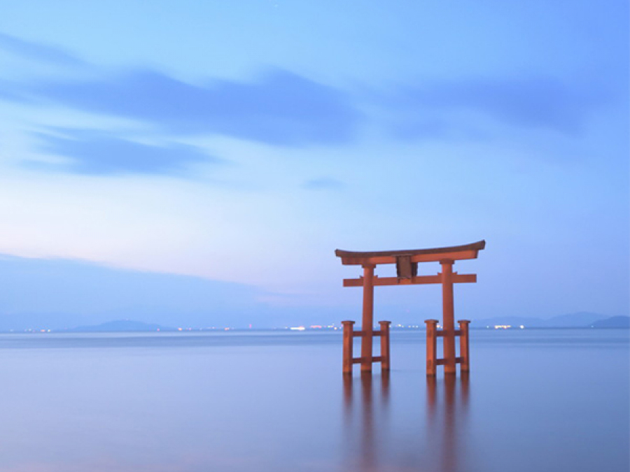 滋賀県 の買取