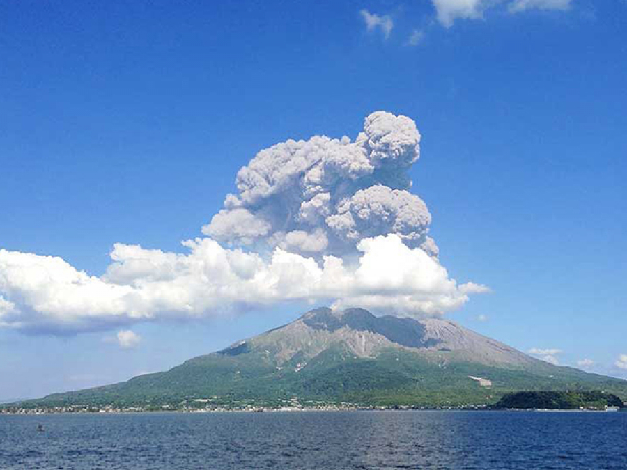 鹿児島県 の買取